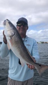 Nice Redfish caught on light tackle